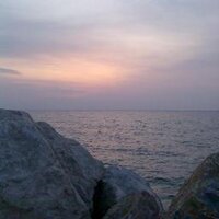 leonelallegro (@leonelallegro) 's Twitter Profile Photo leonelallegro (@leonelallegro) 's Twitter Profile Photo