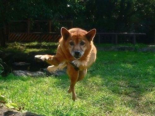 コミュ障の塊です。