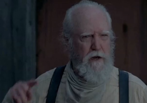 Hey, I'm a beard! Not just any beard though, I'm Hershel's beard. Come and itch me bitches!