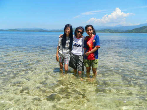 ardellamei26's profile picture. 