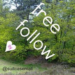 ☀FREE FOLLOW BY @suitcaseniall☀