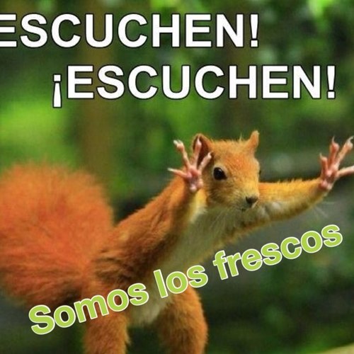 SOMOS LOS MEJORES,LOS MAS FRESCOS DONDE VAMOS LA LIAMOS...SOMOS UNICOS..NO FALLAMOS...QUE NO TE LO CUENTENN!!!!