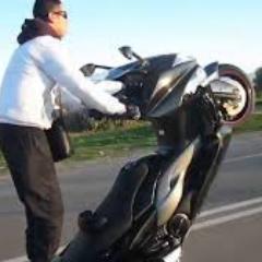 salam cv