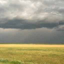 sidebar_ut's profile picture. Entertaining SLC.  Legally.