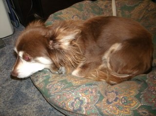 michaelkyne1's profile picture. 