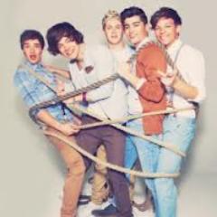 I love One direction... 1D My Life...My dream One Direction...I'am Directioner