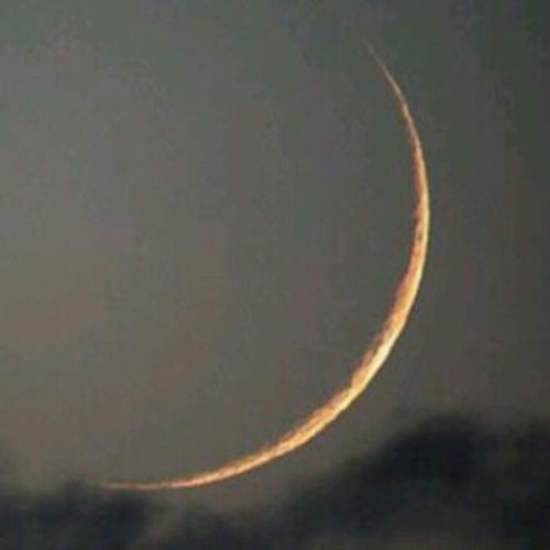 ( العفو عند المقدرة ) والتسامح مع كل الناس لو هذه الميزة موجودة مع الناس انتهت كل المشاكل اللهم صل على محمدحيث قال ( البسمة في وجه اخيك صدقة )