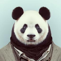 DrugsHS Profile Picture
