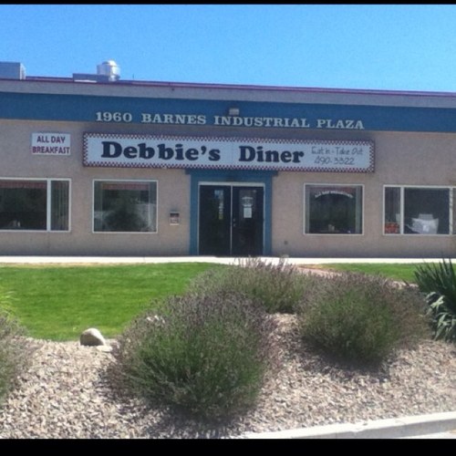 debbiesdiner's profile picture. 