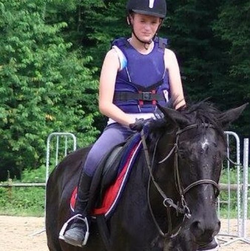 _The_Horse_'s profile picture. La Passion Du Cheval Est Tellement Forte Qu'on En Perdrai La Tête :3 Le désire permanent d'être avec eux.. #HorseForEver