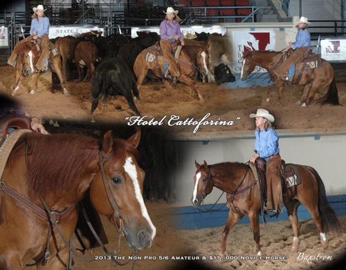 Dianakingcunnin's profile picture. 