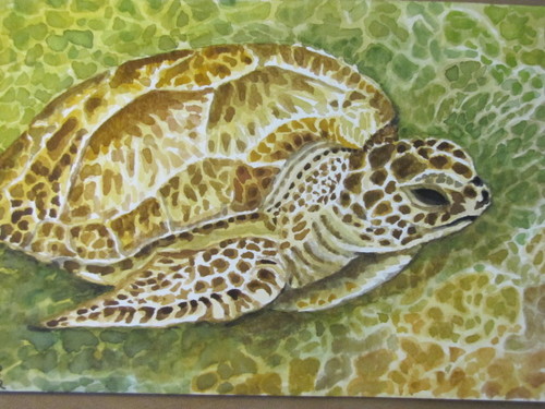 Focusonfish's profile picture. It's all about the fish ... cooking, eating, enjoying and sustaining all the best that seafood has to offer.