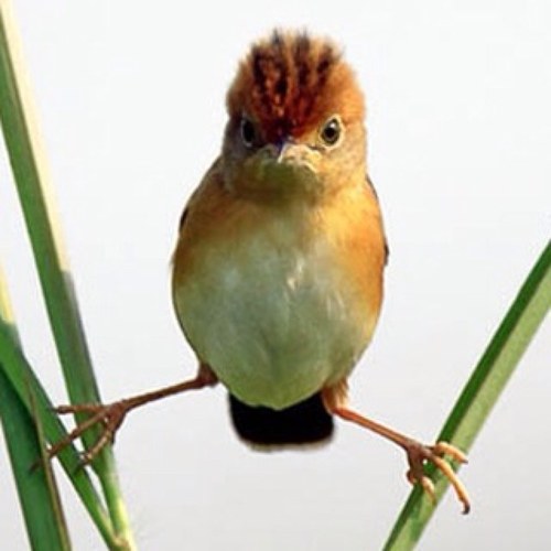 Hope15122253's profile picture. 