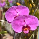 Barbara Birch - @BirchBntbirch1 - Twitter