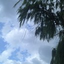 wanda navedo  - @NavedoWanda - Twitter