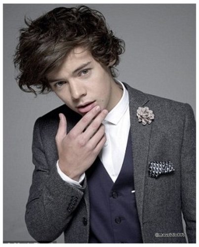 directioner forever 1D