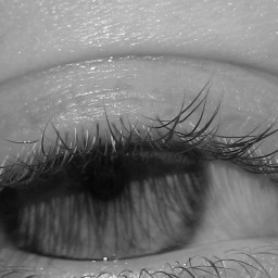 shellyleelou's profile picture. entreperneur