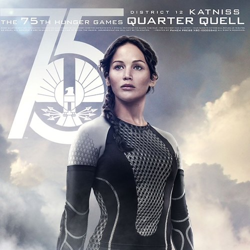 The Girl On Fire. I'm pretty good with a bow and arrow. #PanemResistance #DownWithTheCapitol