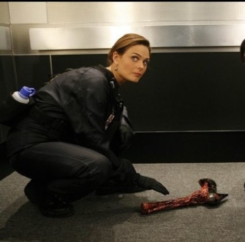 I'm a forensic anthropologist. That means I look at bones. It does not mean you can call me Bones. I'm not as heartless as everyone thinks