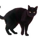 Robert Ryals - @KatyPurrytheCat - Twitter