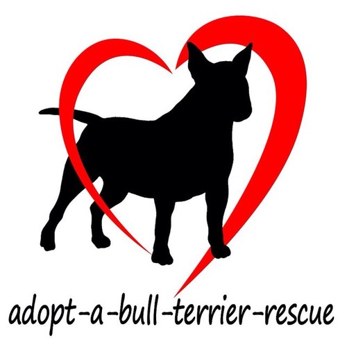 Rescue and rehome English Bull Terriers right across the United Kingdom - http://t.co/hB8gF6iJwW.ukhttps://www.facebook.com/groups/adoptabullter