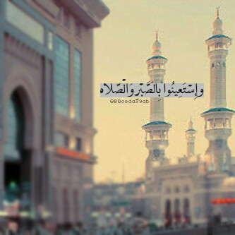 PIN:29766425