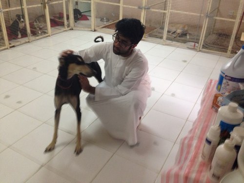 MarwanAlQassimi's profile picture. Dreams may come true...