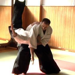 Auteur et vidéaste vivant à Tokyo - 5e Dan d'#Aikido #Aikikai / Kyoshi de #Daitoryu Aikijujutsu