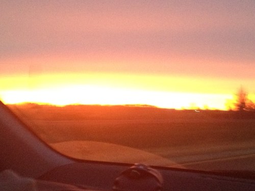 hopper_jackie's profile picture. 