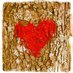 Lindsay Mottley (@lindsaymottley) Twitter profile photo