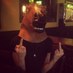 hangry and alone (@fashionboyparty) Twitter profile photo hangry and alone (@fashionboyparty) Twitter profile photo