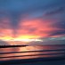 Toys Ahoy Sanibel FL (@toysahoysanibel) Twitter profile photo