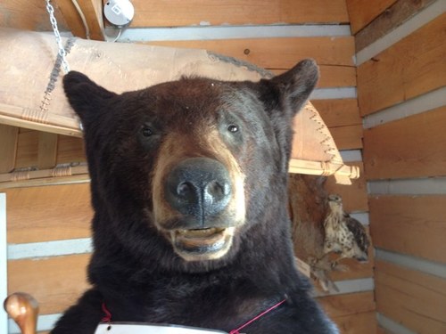 amartin2's profile picture. 