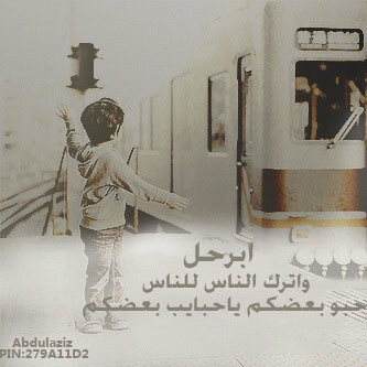 PIN:23BAF8DC 0503553704