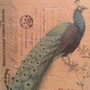 Crissy Taylor - @crissy_taylor - Twitter