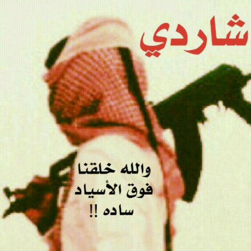 مواصل والمخ فاصل