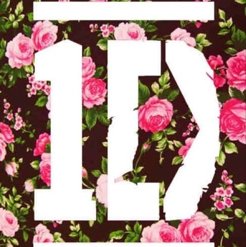 A Girl , Latina ,a directioner and a mixer. I'm just a regular girl who lives life to the fullest with her awesome friends. Follow me , i follow back.
