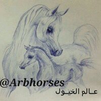 ‏﴿ عـالم الخيـول ﴾ (@arbhorses) Twitter profile photo