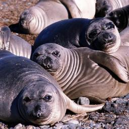 Water Polo parents