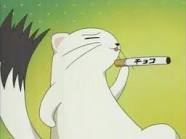 I'm Kamo the ermine of Negi I do pactios so pucker up! #takenby@StrayKimba //irl 14 yrs old
