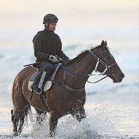 Trinder Racing (@trinderadam) 's Twitter Profile
