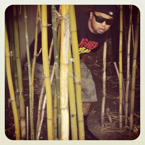 CALIflyinHIGH's profile picture. 