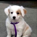 Sylvia Ross - @daimand10 - Twitter