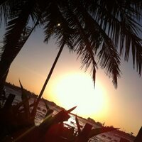 Najwa Aljehani (@najwa86nn) Twitter profile photo