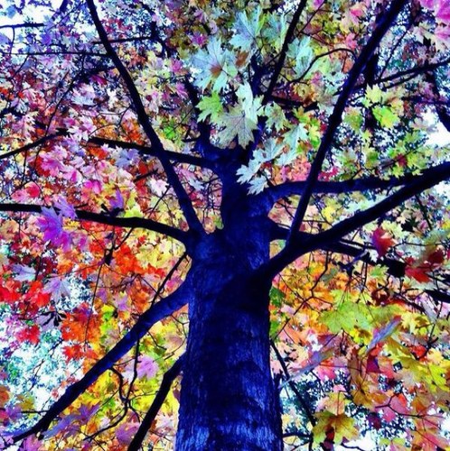 FlanaganZoe's profile picture. 