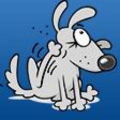 Information and advice on combating fleas, flea bites and other bugs on our pets and in our homes