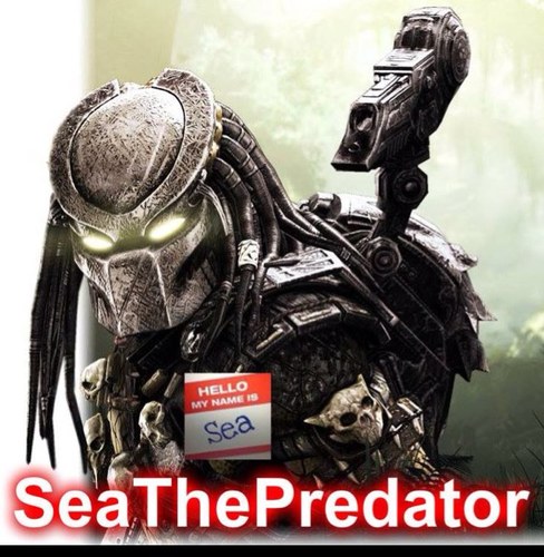SeaThePredator's profile picture. 