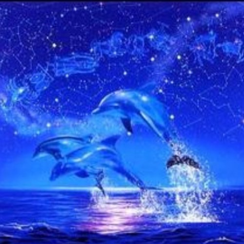 porchetta57's profile picture. ランチやクレープの販売をしてます。