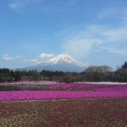 cafemoca77's profile picture. 