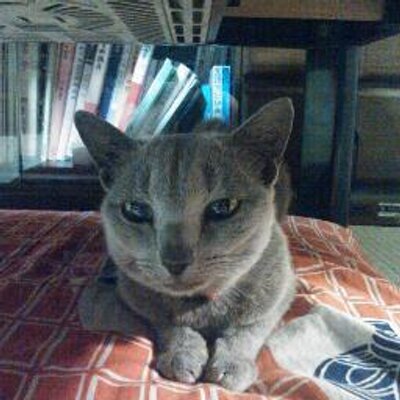トファナ水 小説家になろう カクヨム 69fighter Twitter トファナ水 小説家になろう カクヨム 69fighter Twitter